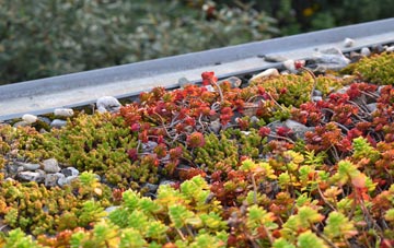 the cost of Westfields green roof installation