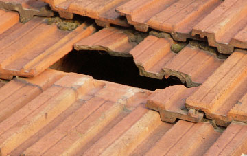 roof repair Westfields