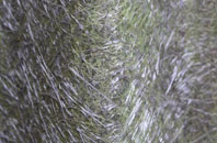 Westfields fibreglass roof work